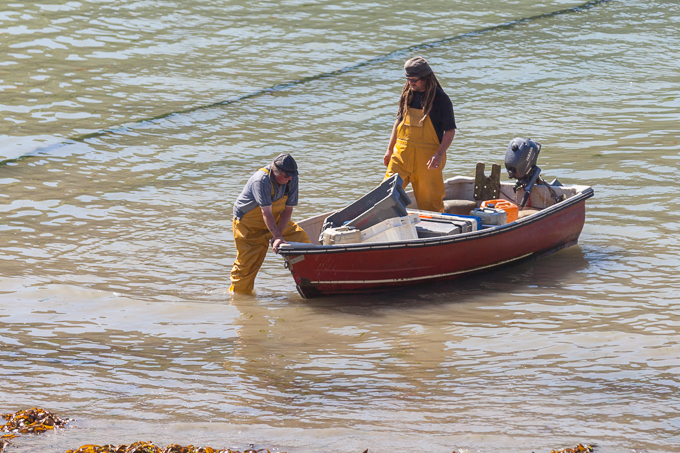 Port Isaac 2014 (08)